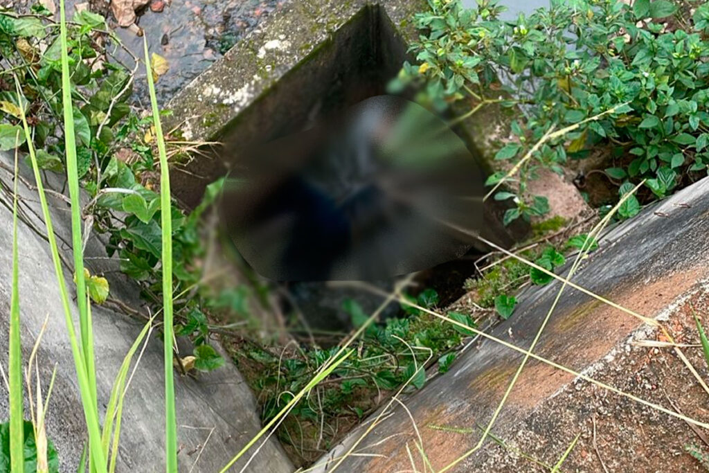 Corpo é encontrado às margens de córrego em Juiz de Fora 2 corpo corrego sao pedro foto bombeiros