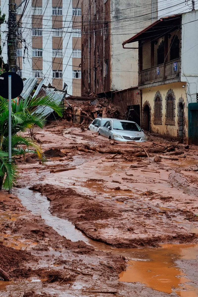 paineiras-chuvas-leo-costa paineiras-chuvas-leo-costa